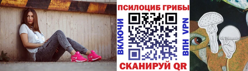 купить наркотики цена  Онега  Псилоцибиновые грибы ЛСД 